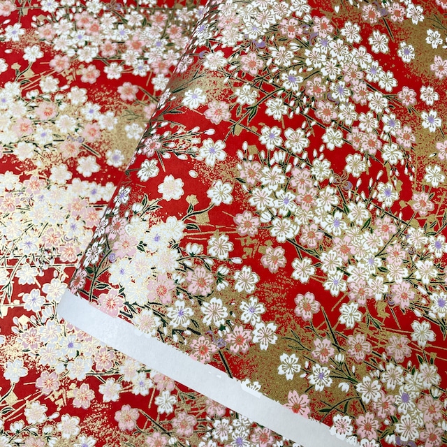 Morita Wagami Products