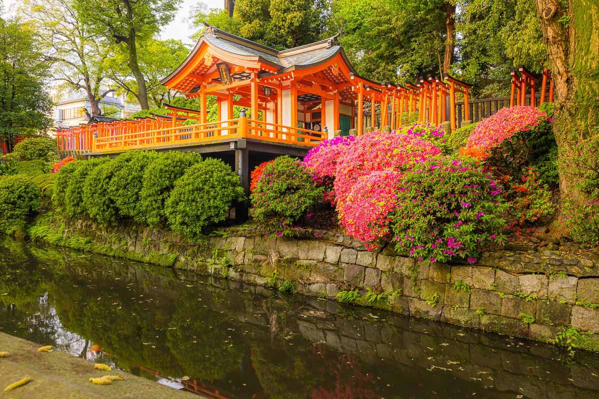 Nezu Shrine Torii Path