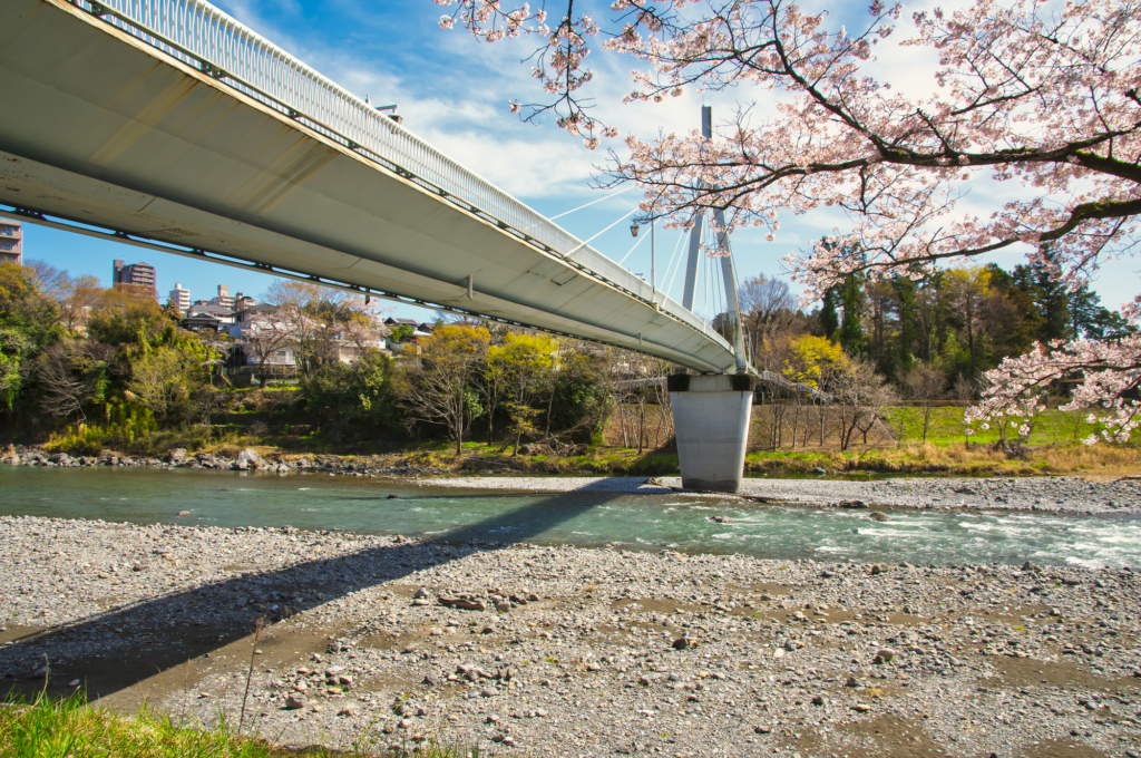 Picnic by the river in Tokyo